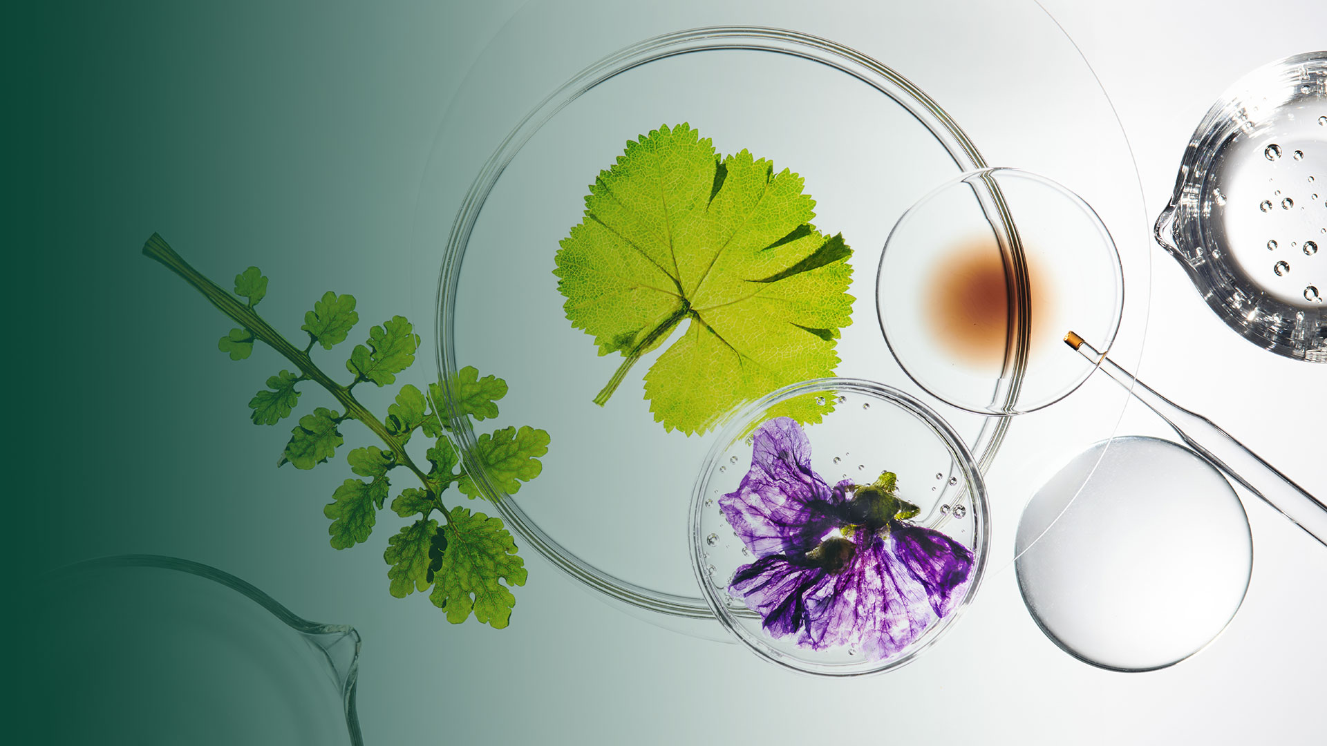 Produits Weleda en flacons.